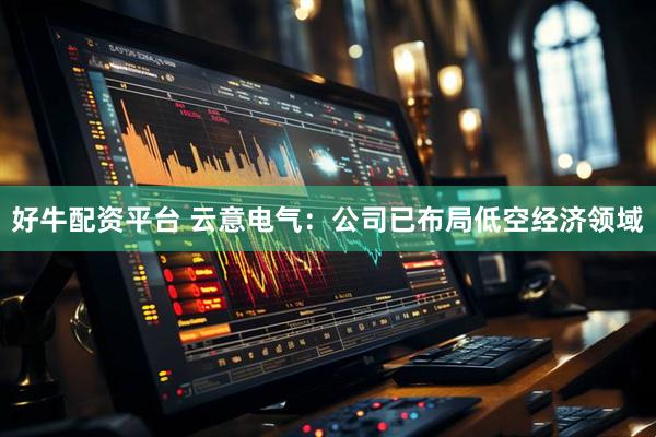 好牛配资平台 云意电气：公司已布局低空经济领域