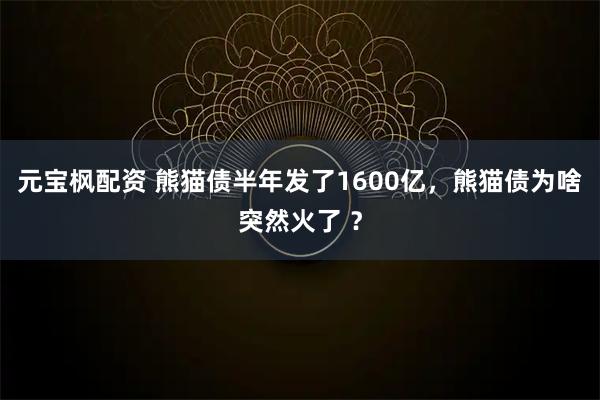 元宝枫配资 熊猫债半年发了1600亿，熊猫债为啥突然火了 ？